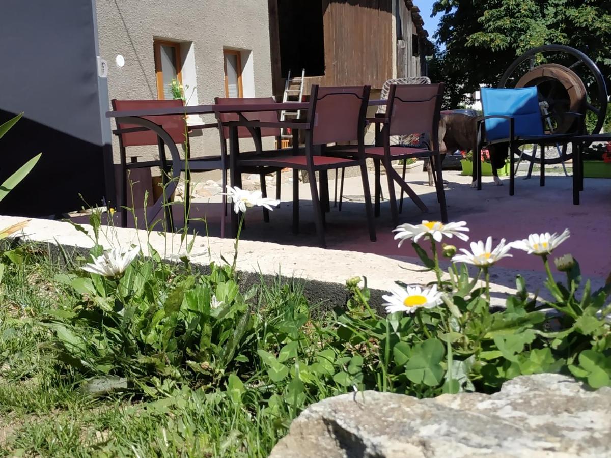 Maison d'hôtes des Bassins d'Oche Saint-Paul-en-Chablais Exterior foto